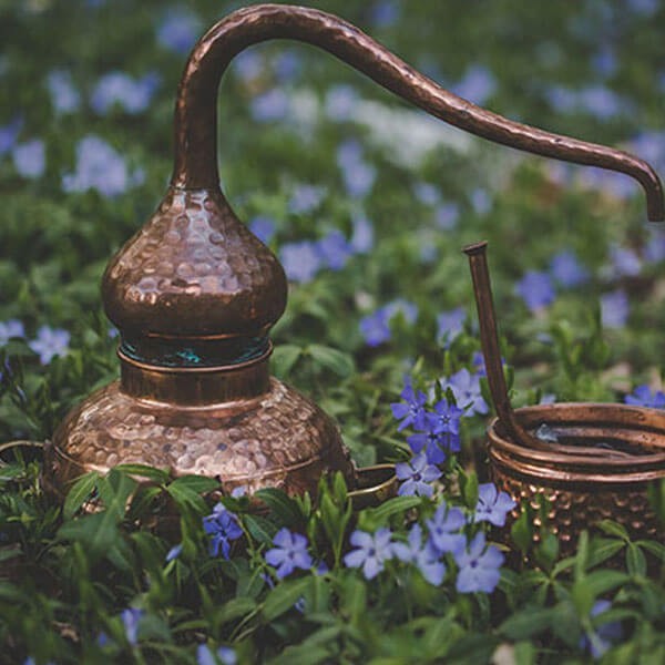 Stovykla: Botaninė kosmetika, žoliavimas ir aromaterapija Stovykla: Botaninė kosmetika, žoliavimas ir aromaterapija