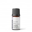 Tabako (Burley) absoliutas 10%, 5 ml.
