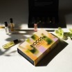 SOLINOTES botaninių kvepalų patyriminis rinkinys, 5 vnt * 2ml