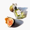 FABULOUS FIG EDP botaniniai kvepalai