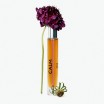 CALM MOOD NOTES aliejiniai kvepalai su tikru ūdu, 10 ml