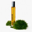 FOCUS MOOD NOTES aliejiniai kvepalai, 10 ml