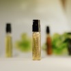Pomidorų lapų žalumos aromato kvepalai „TOMATO GREEN“ 2,5 ml