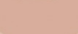 Beige Rose 03